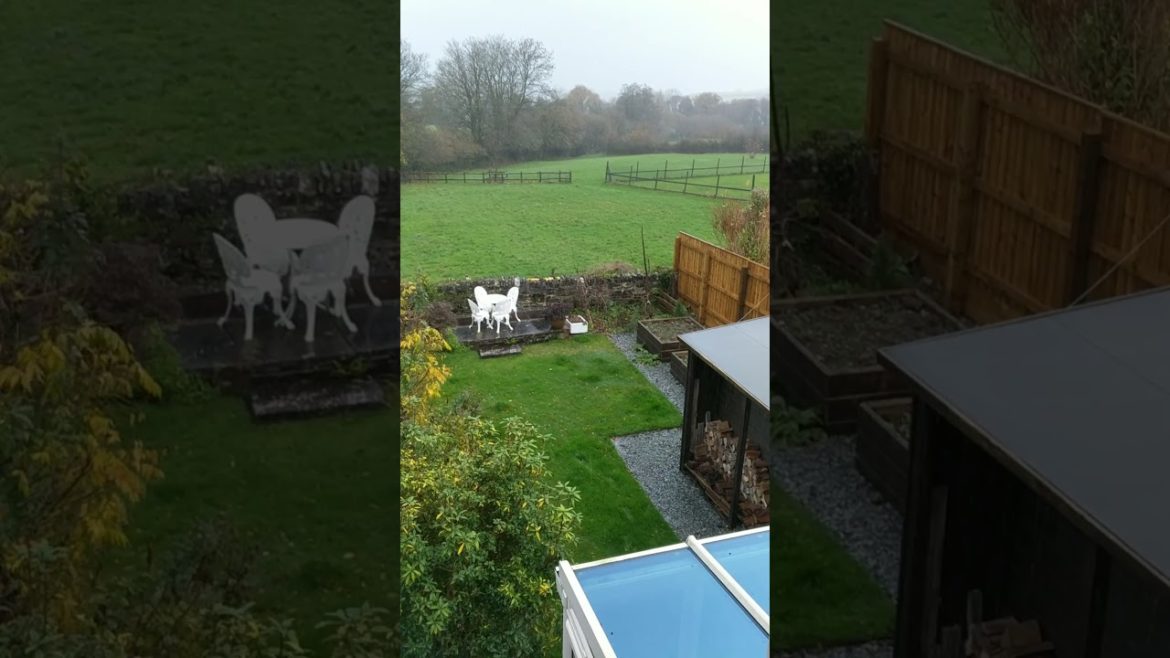 Heavier Rain Sound During The Day