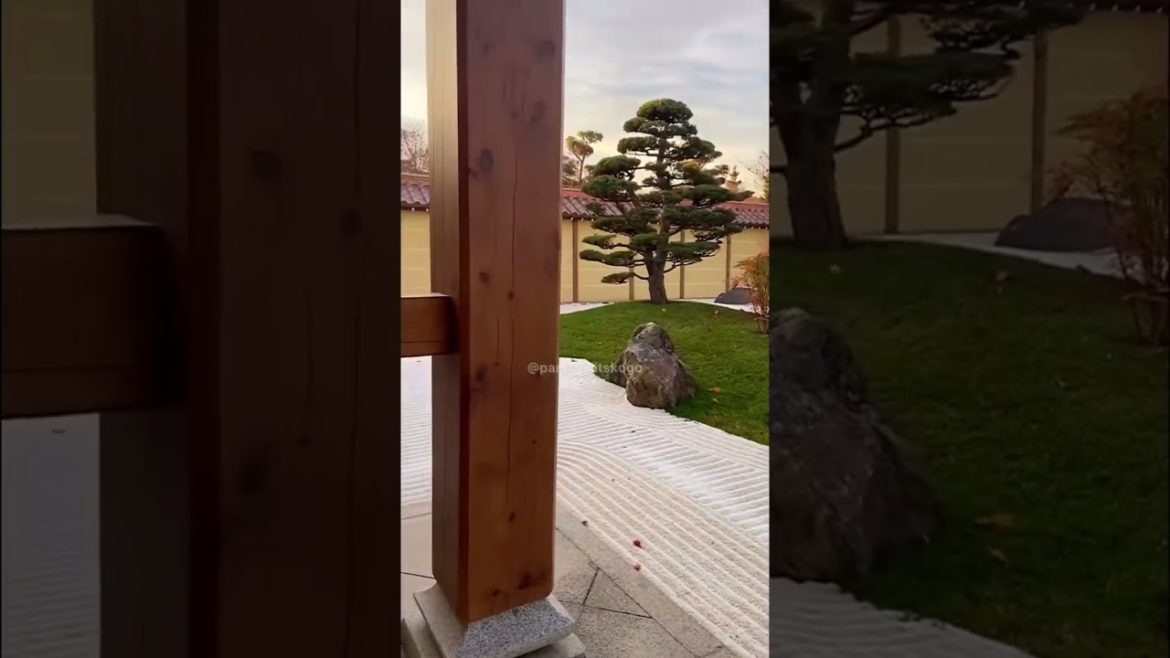 Парк Галицкого ⛩ Японский сад #паркгалицкого #краснодар #японскийсад