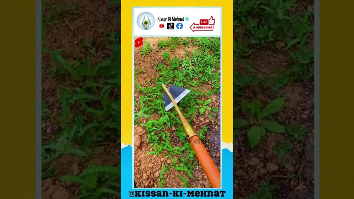 Garden Edger Weeder – Soil Cultivator – Hoe Long Handle Grass Flower Backyard Gardening Tool Garden Edger Weeder - Soil Cultivator - Hoe Long Handle Grass Flower Backyard Gardening Tool