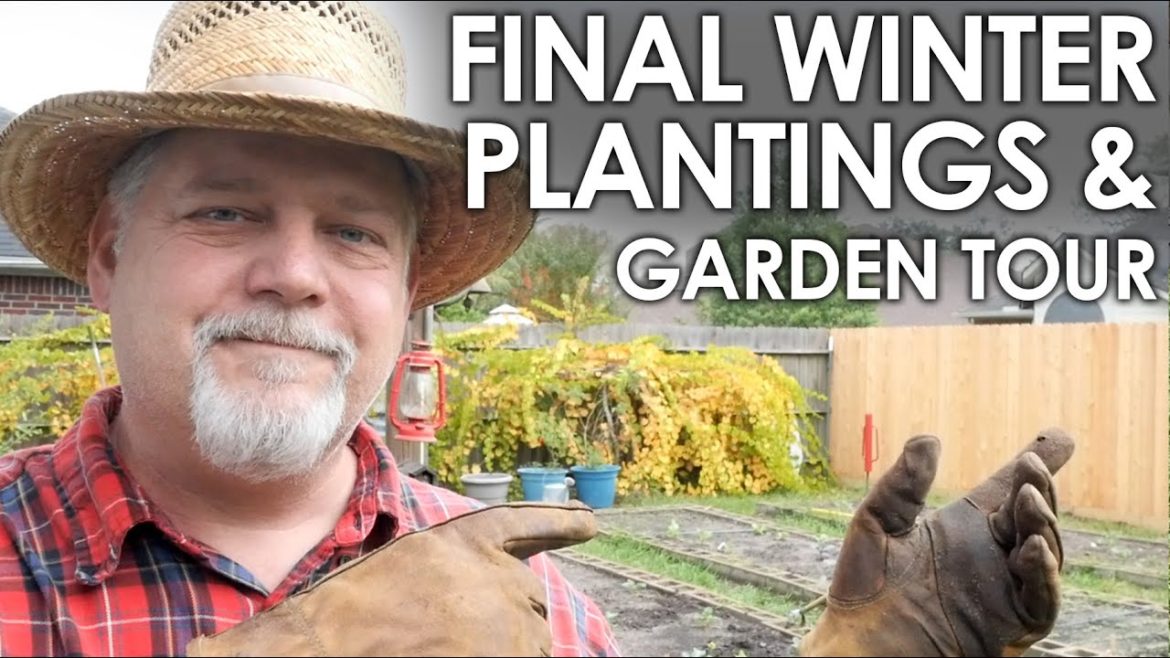 Last Winter Planting & Garden Tour || Black Gumbo