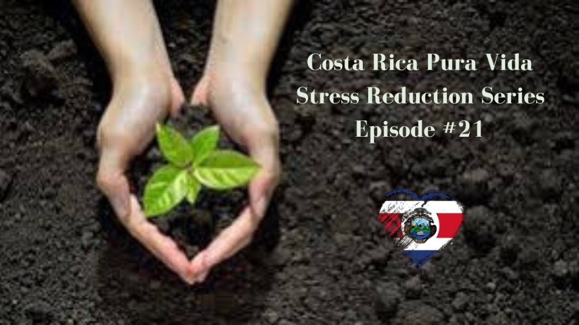 Learning How to Use Gardening as a Stress-Relieving Solution! Episode #21 Learning How to Use Gardening as a Stress-Relieving Solution! Episode #21