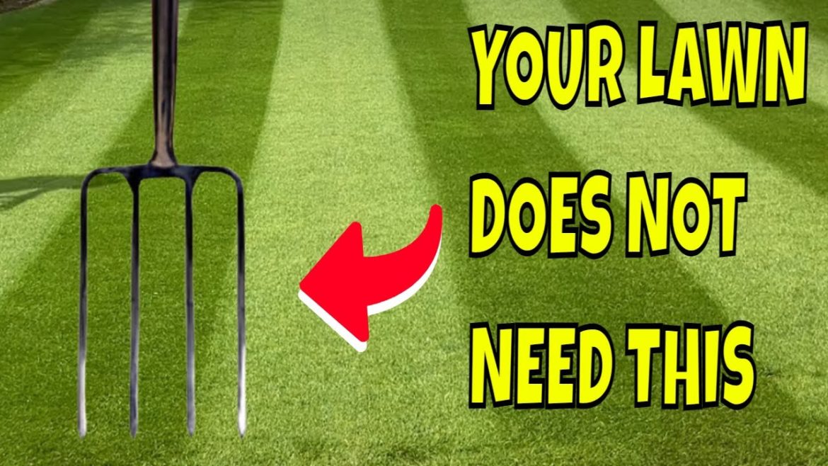 TWO Steps To Make a BIG Difference To Your Lawn This Winter / TWO GREAT Tips! TWO Steps To Make a BIG Difference To Your Lawn This Winter / TWO GREAT Tips!