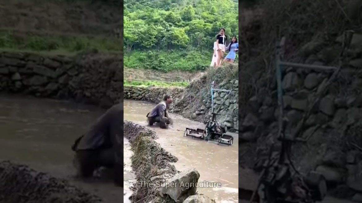 Amazing Machine | Best equipment | Gardening Tools #shorts #agriculture #equipment