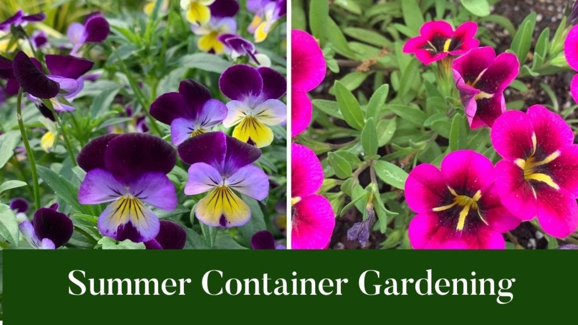 Planting Summer Container Garden|Patio Gardening|Container Gardening|Gardening 101 Planting Summer Container Garden|Patio Gardening|Container Gardening|Gardening 101