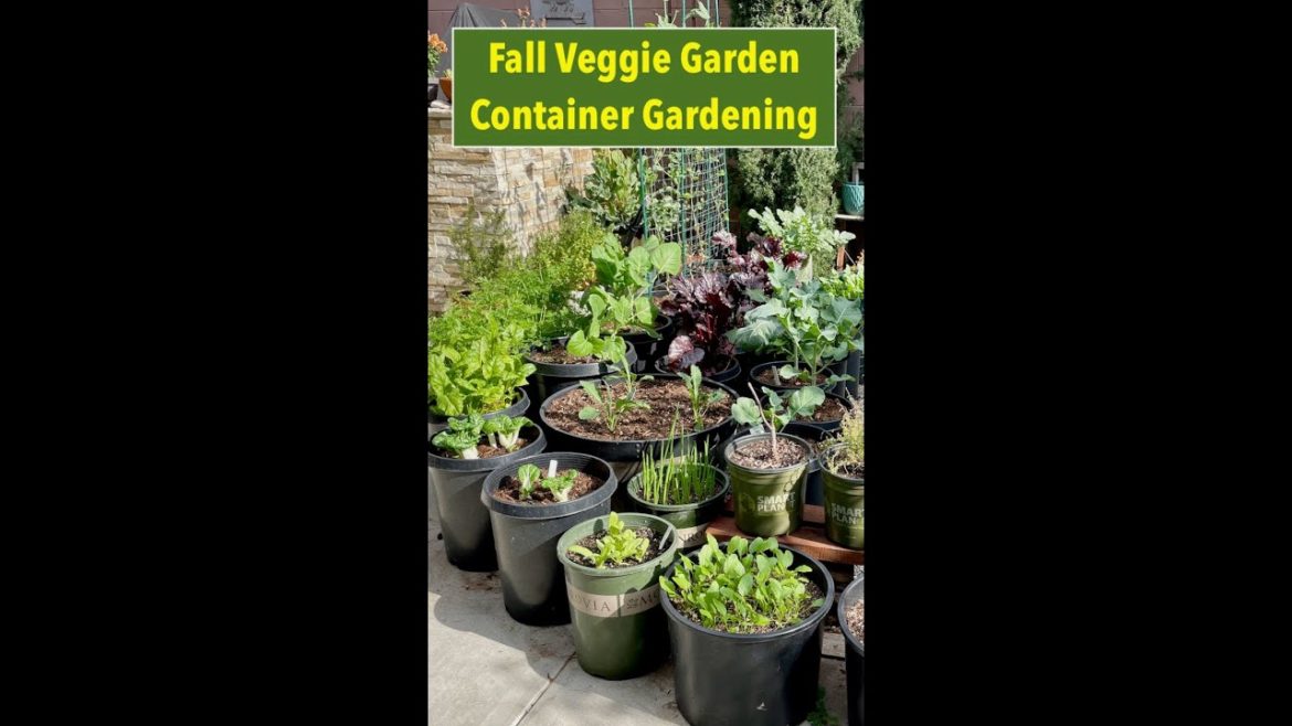 Fall Veggie Garden | Container Gardening