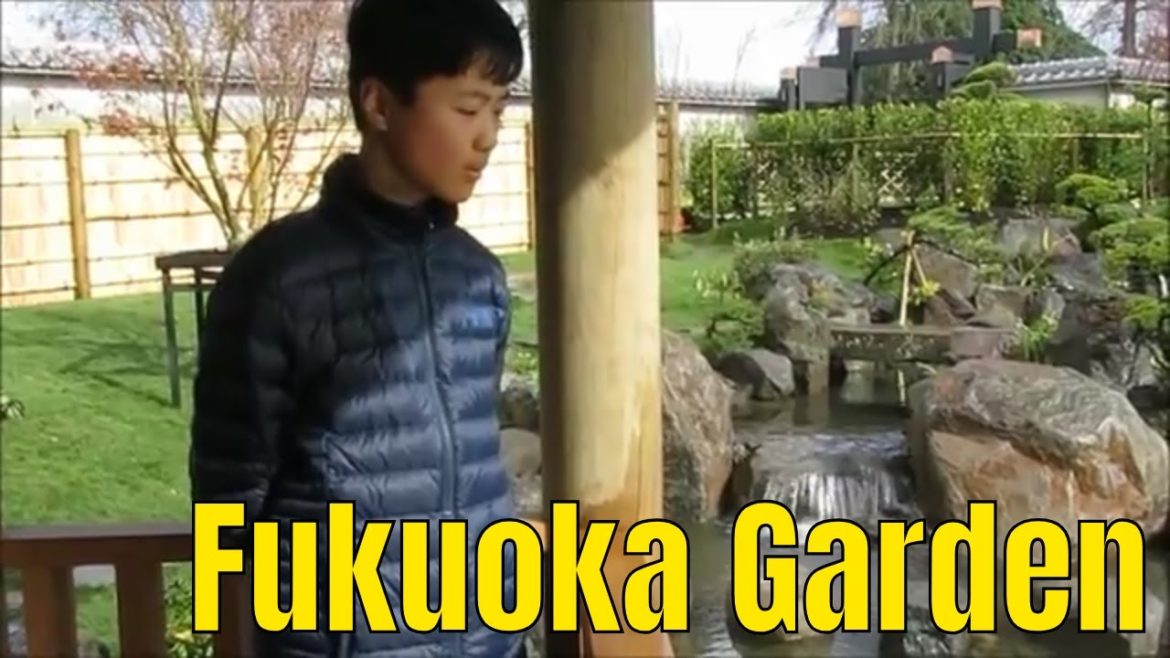 Fukuoka Garden | New opened Japanese garden in central Auckland