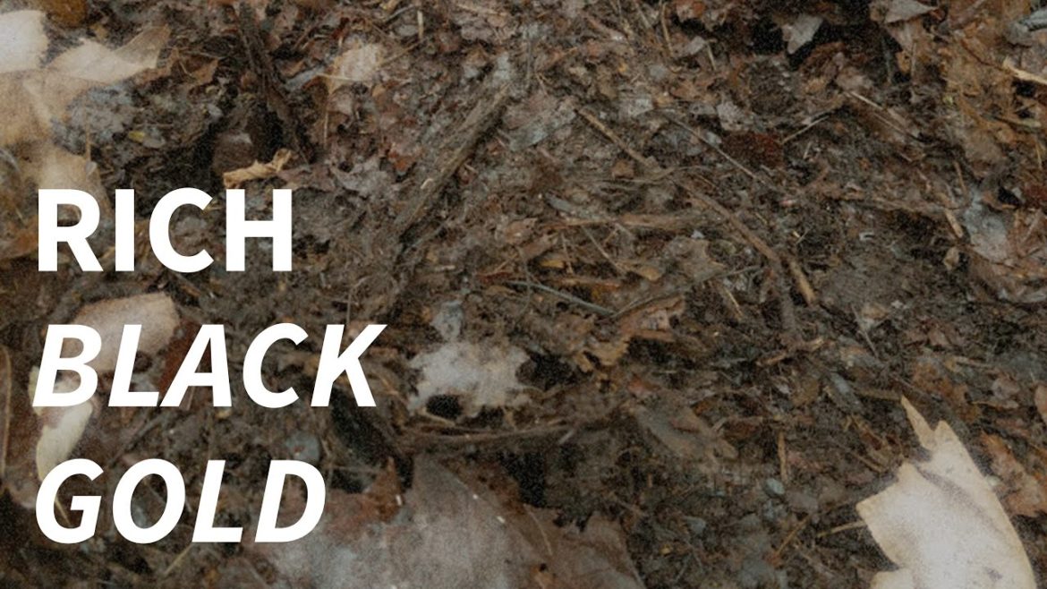 How To Make Rich BLACK GOLD (Leaf Mold) For Your Garden!