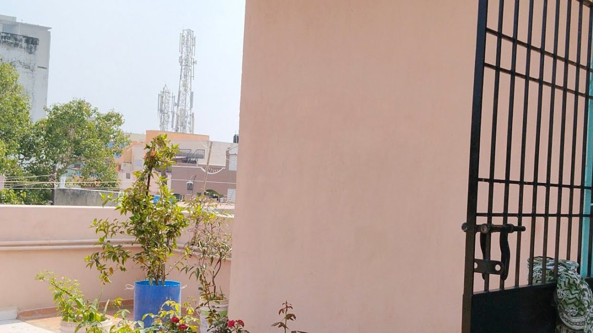 மாயம் செய்யும் நோ 1 fertilizer.. 0 COST#tips #fertilizer #garden