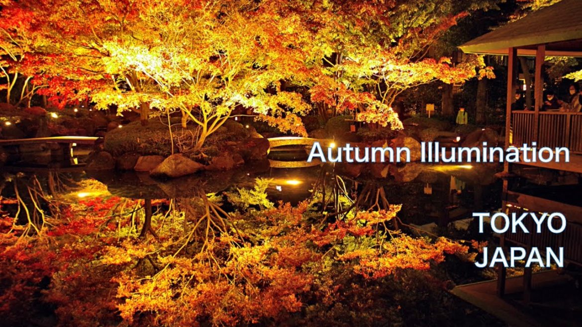 【JAPAN TRAVEL：JAPANESE GARDEN in TOKYO】Walking in illuminated Otaguro Park　Beautiful Autumn color