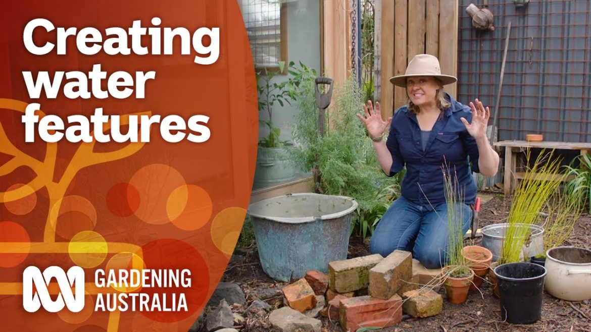 Methods for creating water points for wildlife in your garden | Garden Design | Gardening Australia Methods for creating water points for wildlife in your garden | Garden Design | Gardening Australia