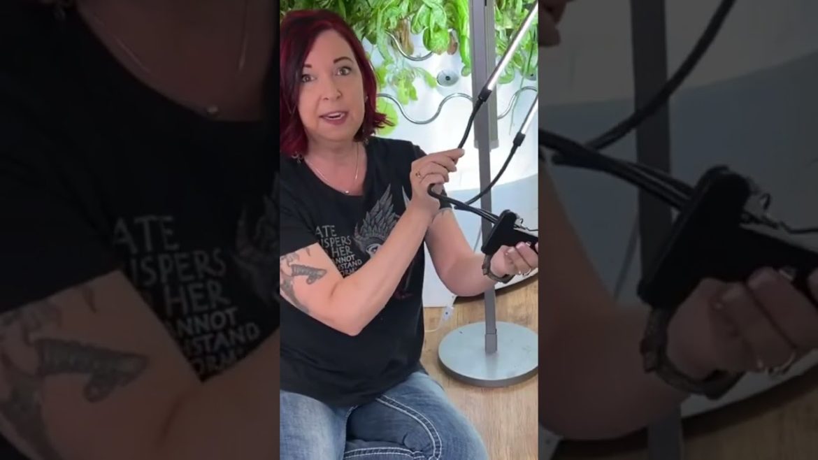 Indoor Gardening Tips🌱 #shorts Indoor Gardening Tips🌱 #shorts