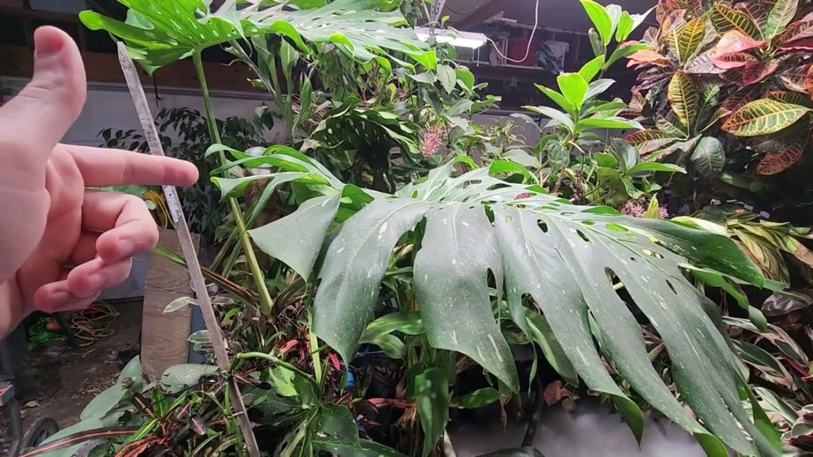 Home Construction Stuff & Why I Didn't Vlog This Week :) Home Construction Stuff & Why I Didn't Vlog This Week :)