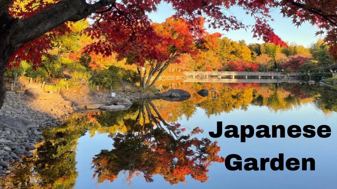 Japanese Garden| Showa Memorial Park Japanese Garden| Showa Memorial Park