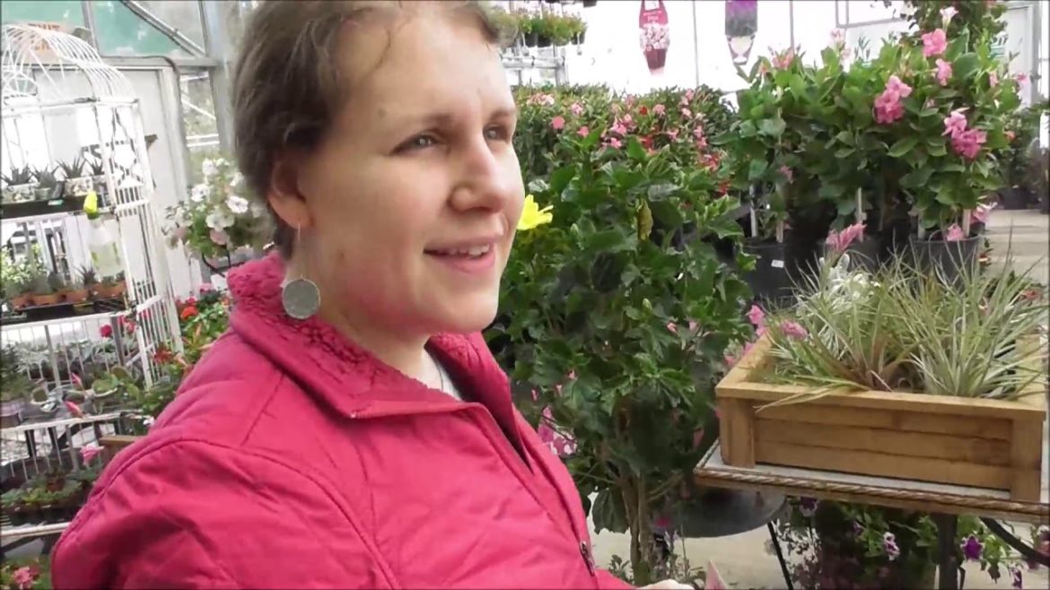 4-29-19 Spring Lawn Care and Vegetable Gardening 4-29-19 Spring Lawn Care and Vegetable Gardening