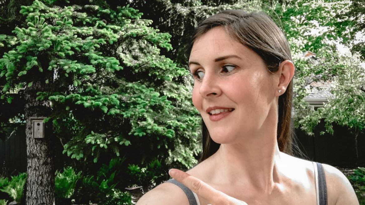 May Garden Tour 🌸 Afternoon in the Backyard Garden