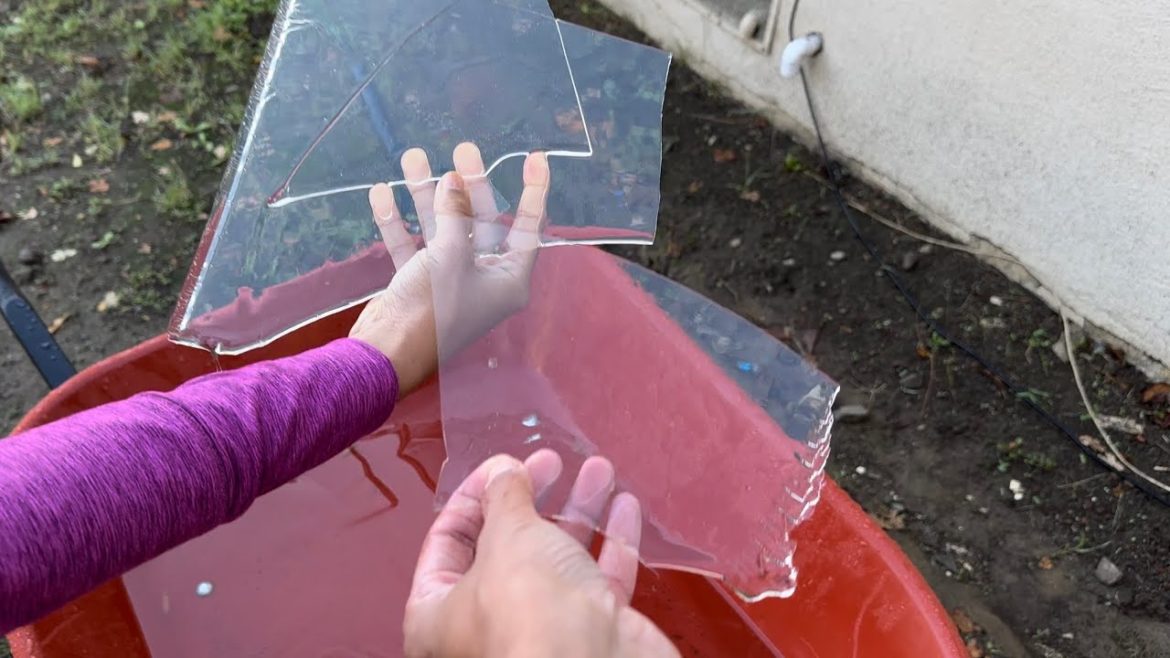 Harsh frost wrecks backyard garden 🥶😥
