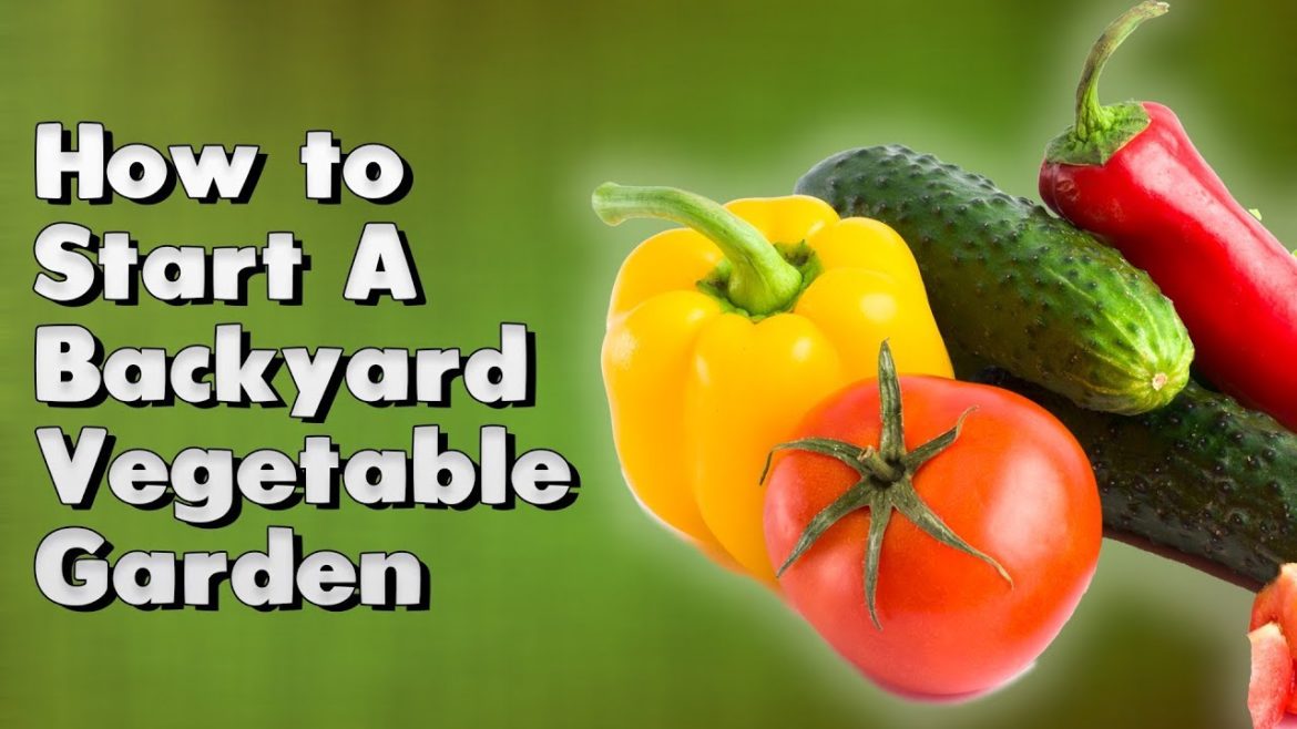 How to Start A Backyard Vegetable Garden How to Start A Backyard Vegetable Garden