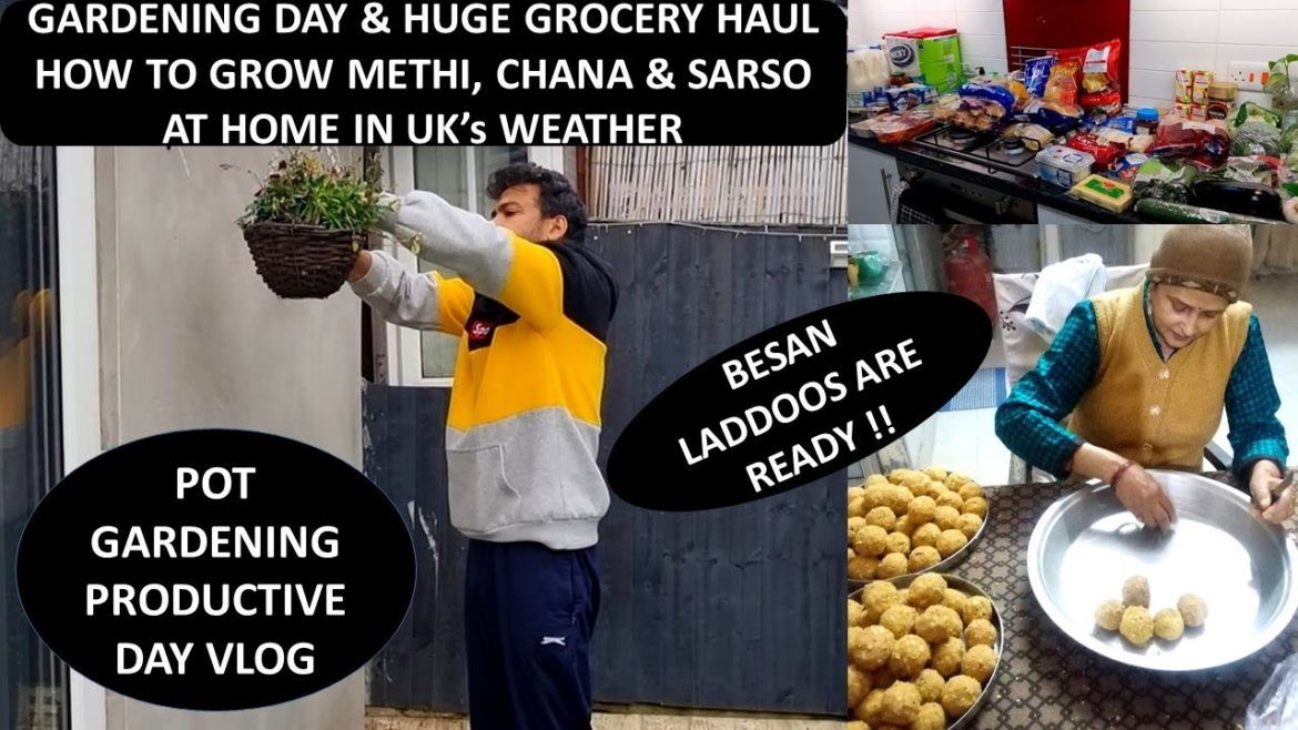 Indian Family's Sunday Routine in UK | Gardening Day & Weekly Grocery Haul | Besan Ke Ladoo