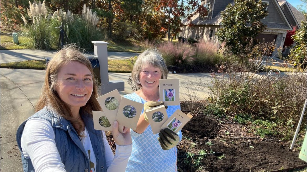 The Complete Guide to Sowing Poppies & other cottage garden seed