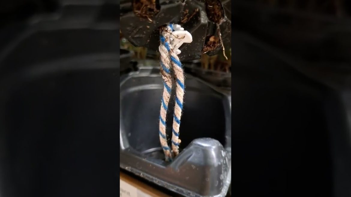 SISTEMA DE RIEGO MUY FACIL QUE  EN LOS VIVEROS  NO TE DICEN