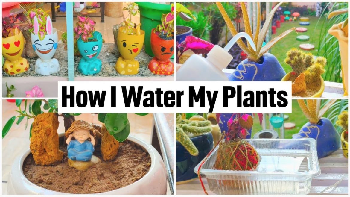 सर्दियों में कैसे दे पानी अपने पौधों में | How to Water your Plants in Winters | Care & Tips सर्दियों में कैसे दे पानी अपने पौधों में | How to Water your Plants in Winters | Care & Tips