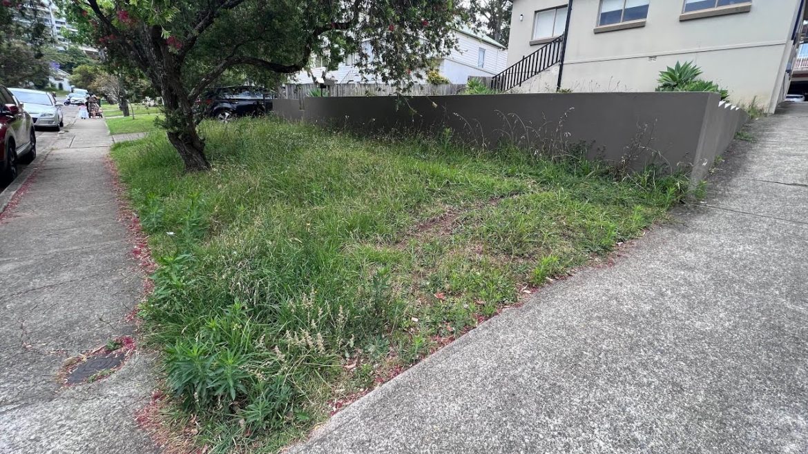 A Quick Lawn Service For This Tiny Overgrown Front Yard ✅🤝🇦🇺