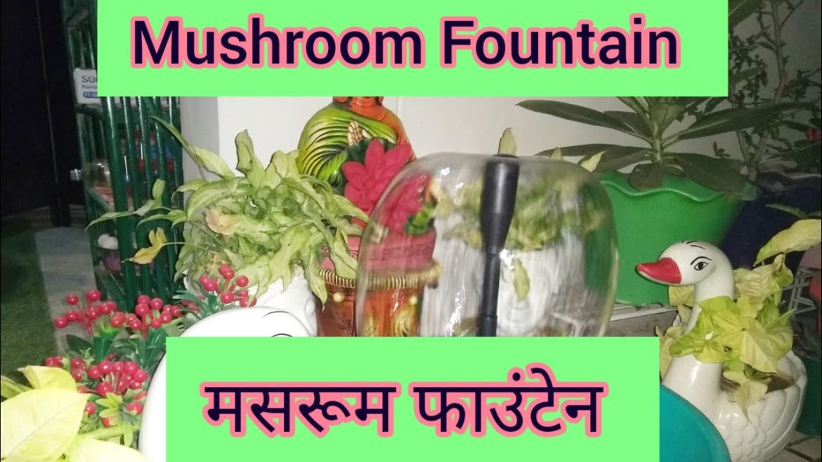 Mushroom Fountain, मशरूम फाउंटेन, Terrace Garden Decoration, Fountain Kit, Tips, Cost, Terracotta, Mushroom Fountain, मशरूम फाउंटेन, Terrace Garden Decoration, Fountain Kit, Tips, Cost, Terracotta,