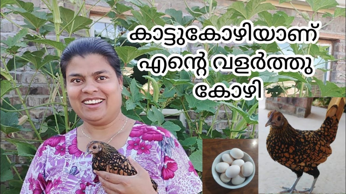 Me and my chicken in our backyard garden