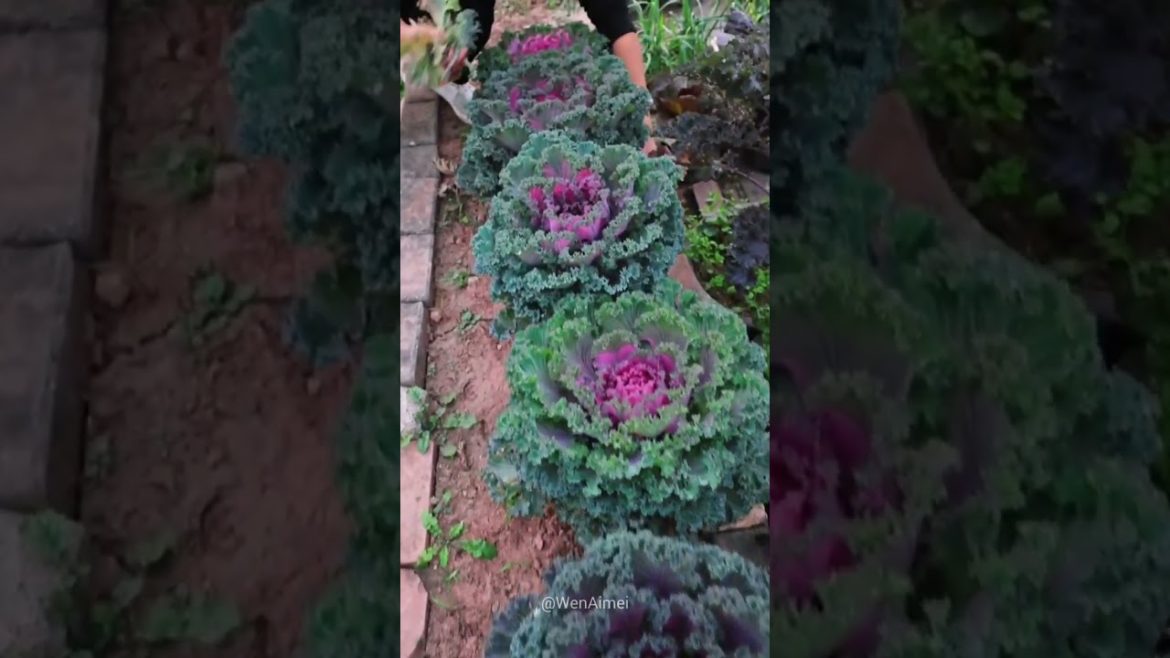 Beautiful Nature with Rural Life #shorts #naturalife #rurallife