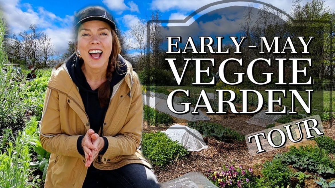 Vegetable Garden Tour Early-May 2021:  Zone 6a, Ohio
