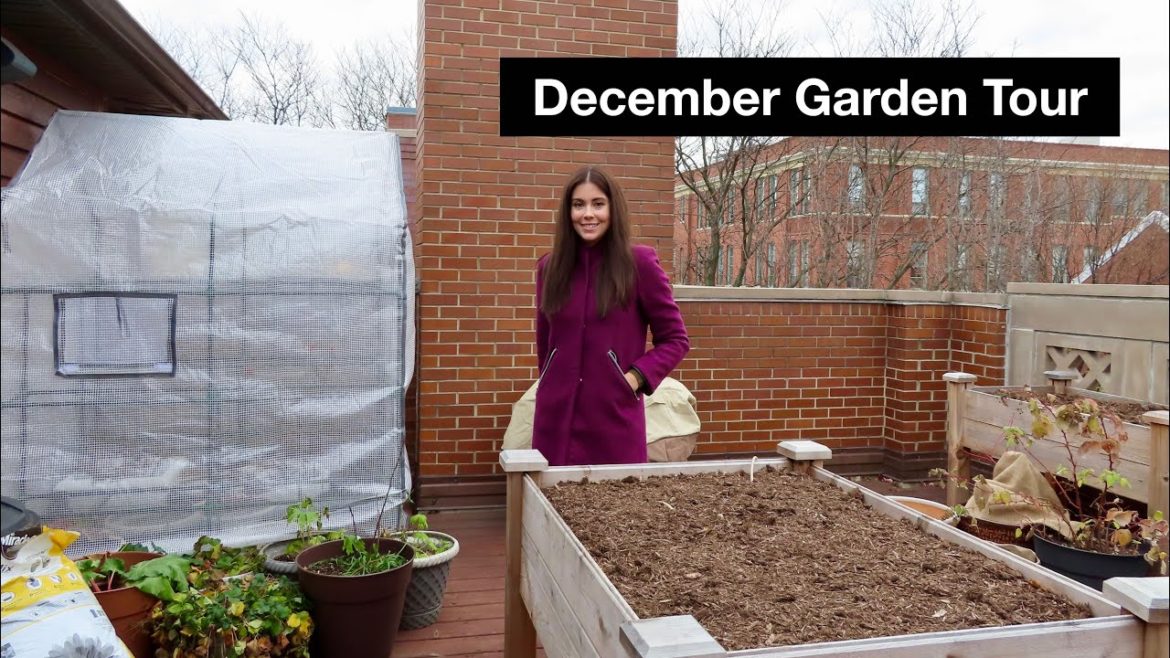 December Container Garden Tour | Rooftop Gardening