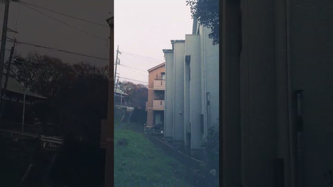 Japanese back alley Japanese back alley