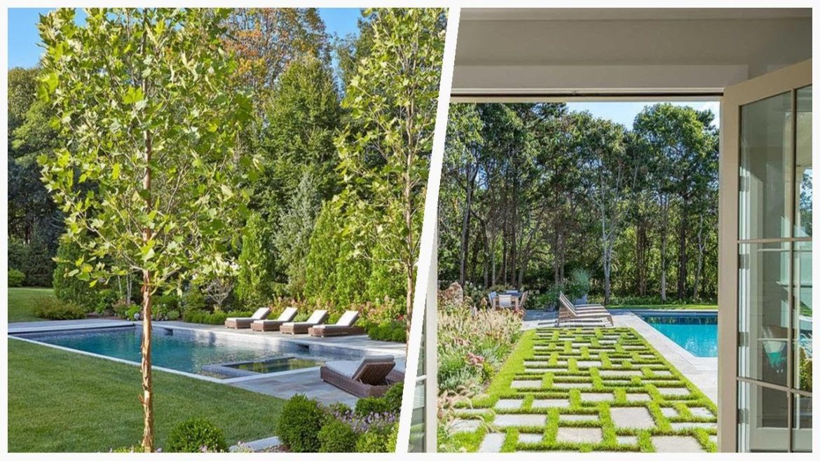 75 Large Green Pool Design Ideas You'll Love ⭐️