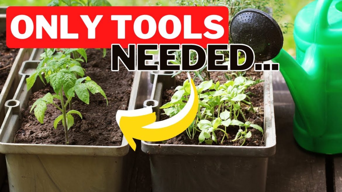 The Only Three Container Garden Tools You Need For Under 20 Dollars. Container Gardening In Canada The Only Three Container Garden Tools You Need For Under 20 Dollars. Container Gardening In Canada