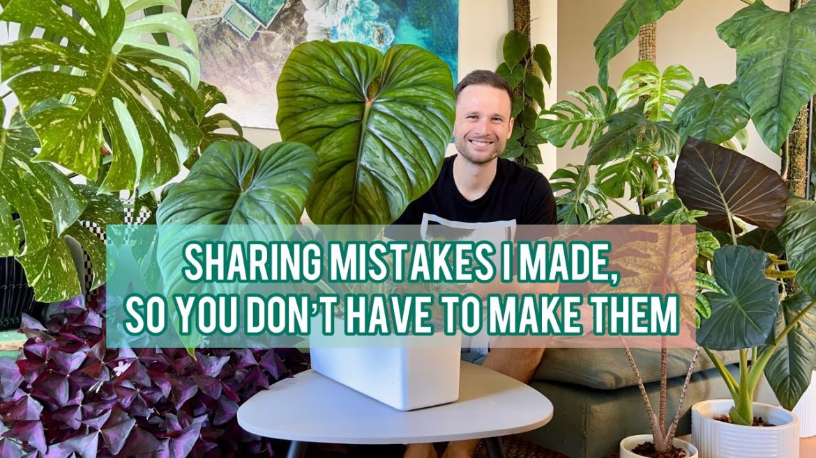 AVOID THESE MISTAKES – growing aroids indoors AVOID THESE MISTAKES - growing aroids indoors