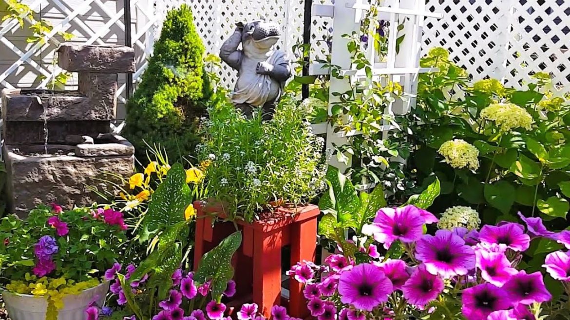 GARDEN TOUR |  SMALL BACKYARD GARDEN IN ZONE 5A CANADA | MID JULY