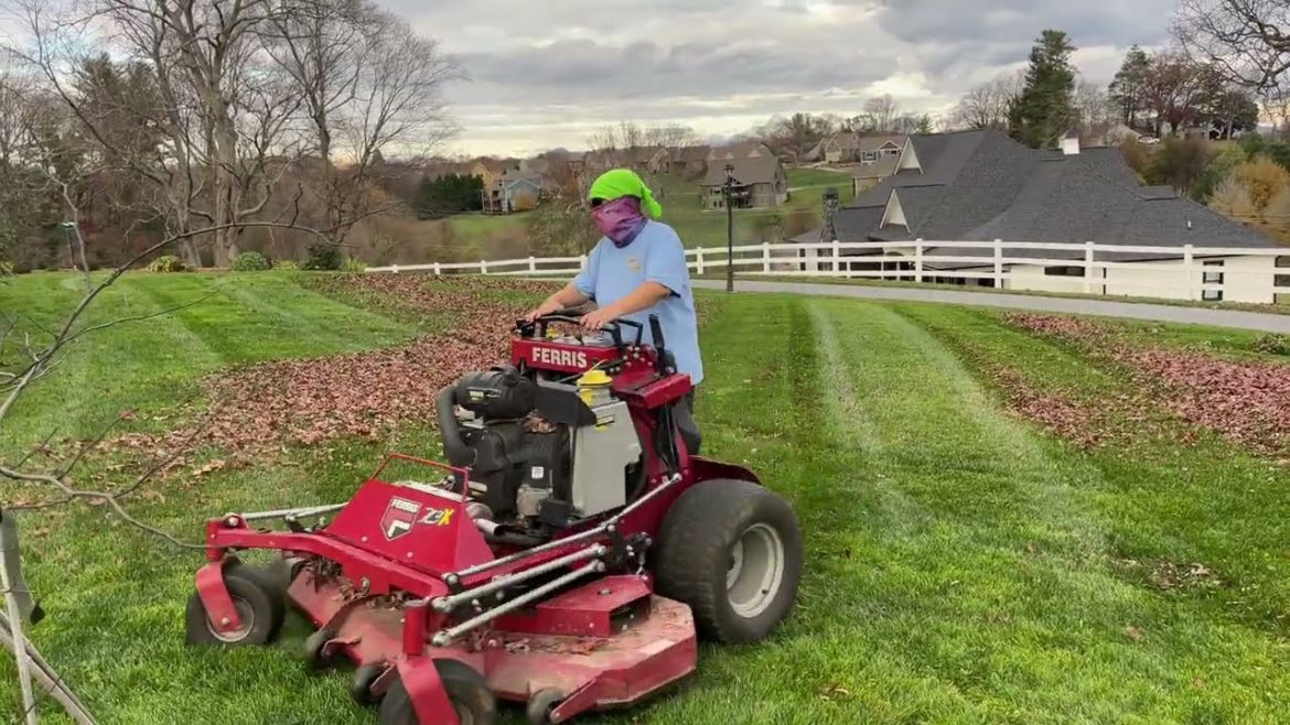 Still Mowing Green Lawns In NOVEMBER!