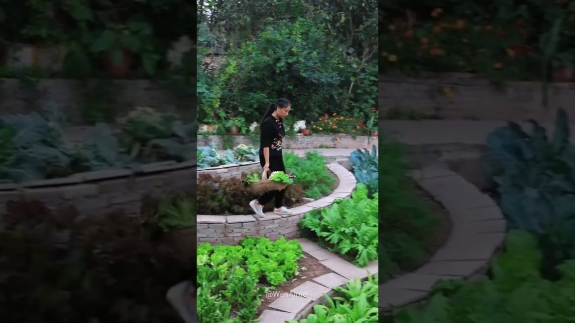 Beautiful Nature with Rural Life #shorts #naturalife #rurallife