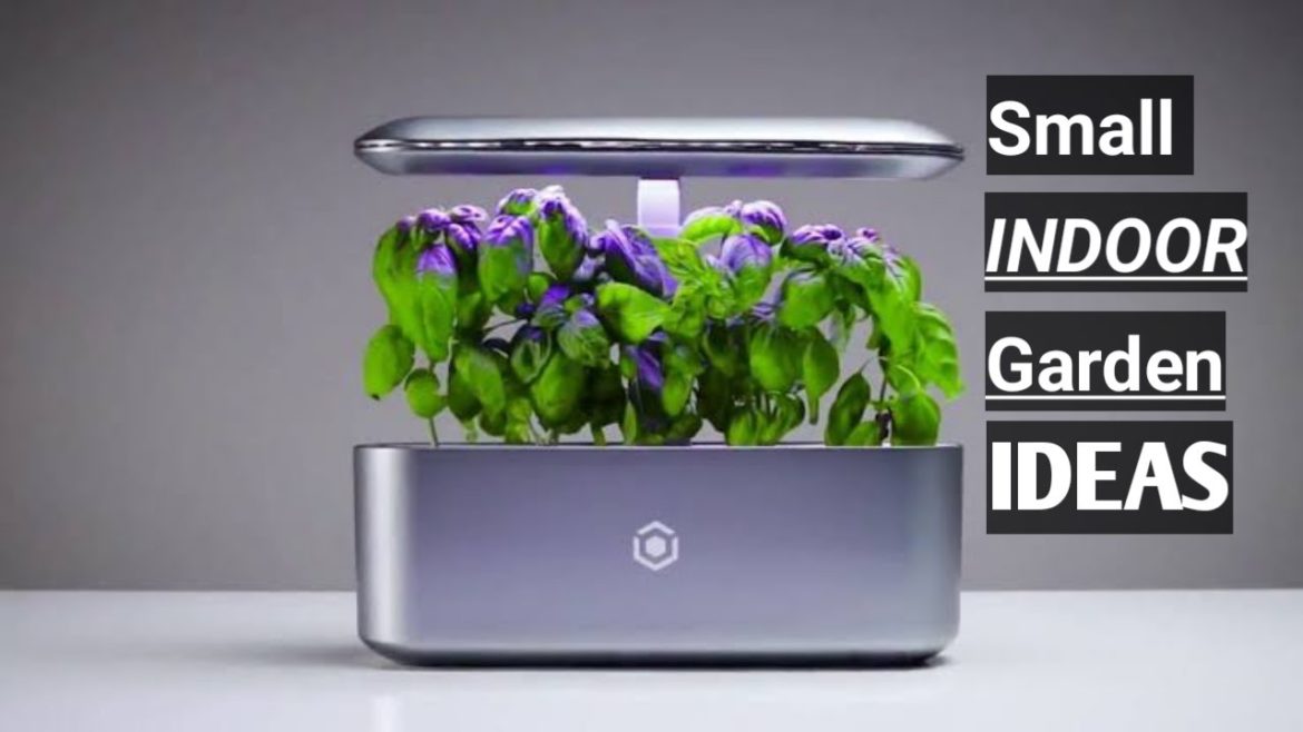 Home Decor Indoor Garden Design 2022 | Indoor Plants Indoor Gardening | Garden For Small Space Home Decor Indoor Garden Design 2022 | Indoor Plants Indoor Gardening | Garden For Small Space