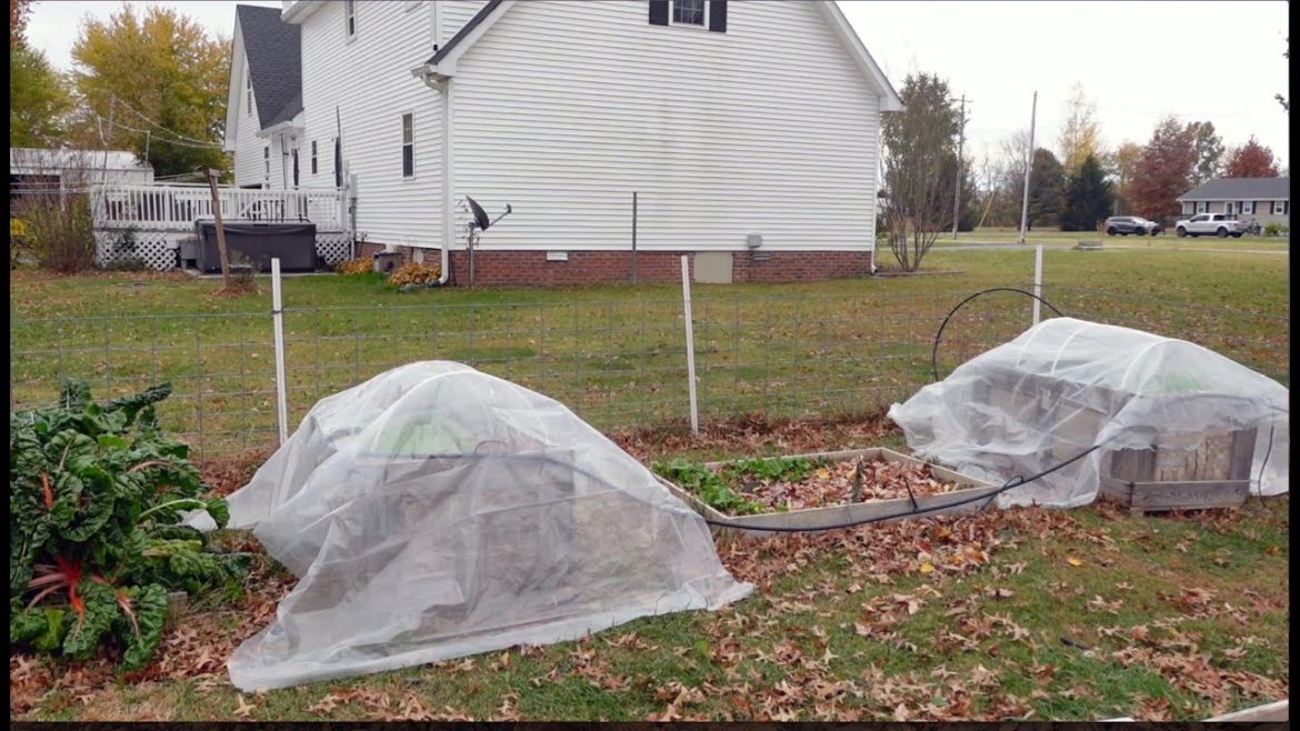 Gardening in the Winter ? | Garden Prep for cooler months