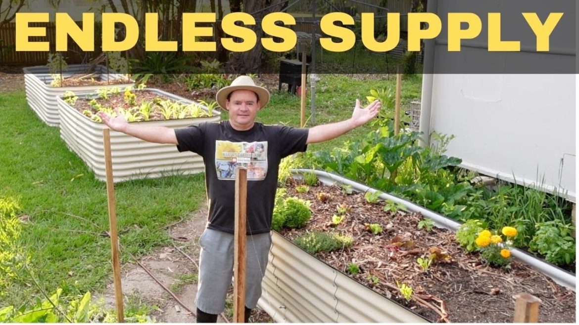 Creating A SELF SUFFICIENT HOMESTEAD 5 Months In