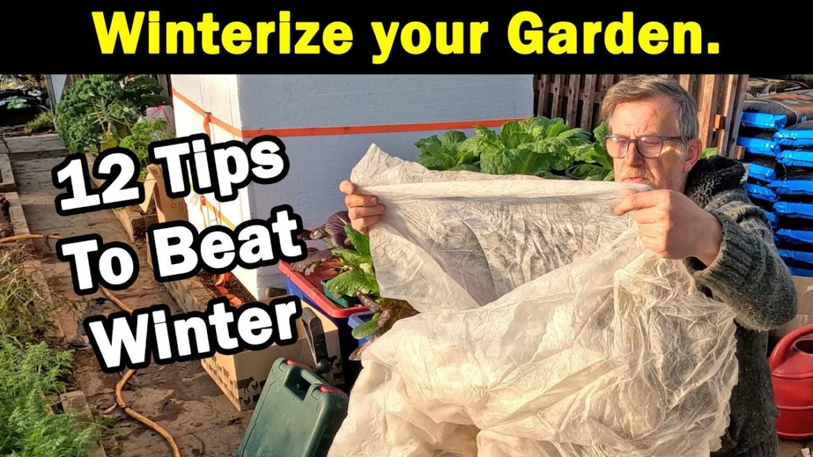 Winterize your Garden | 12 Tips to beat winter | Master the conditions | Green Side Up