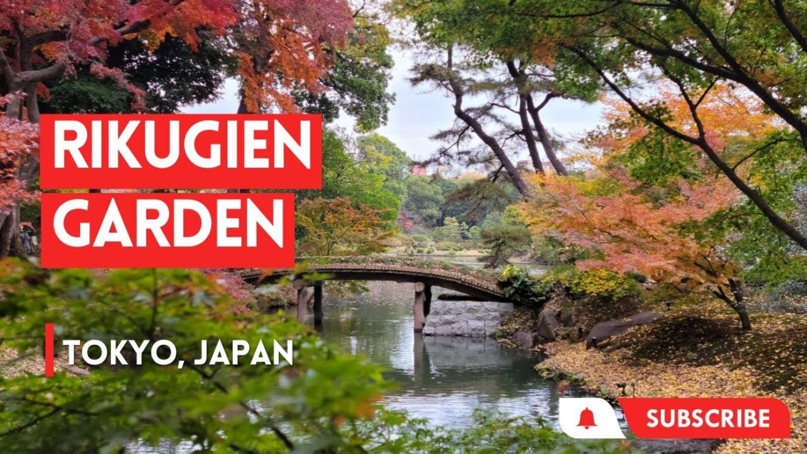Tokyo Rikugien Garden | Japan Walk Tour Tokyo Rikugien Garden | Japan Walk Tour