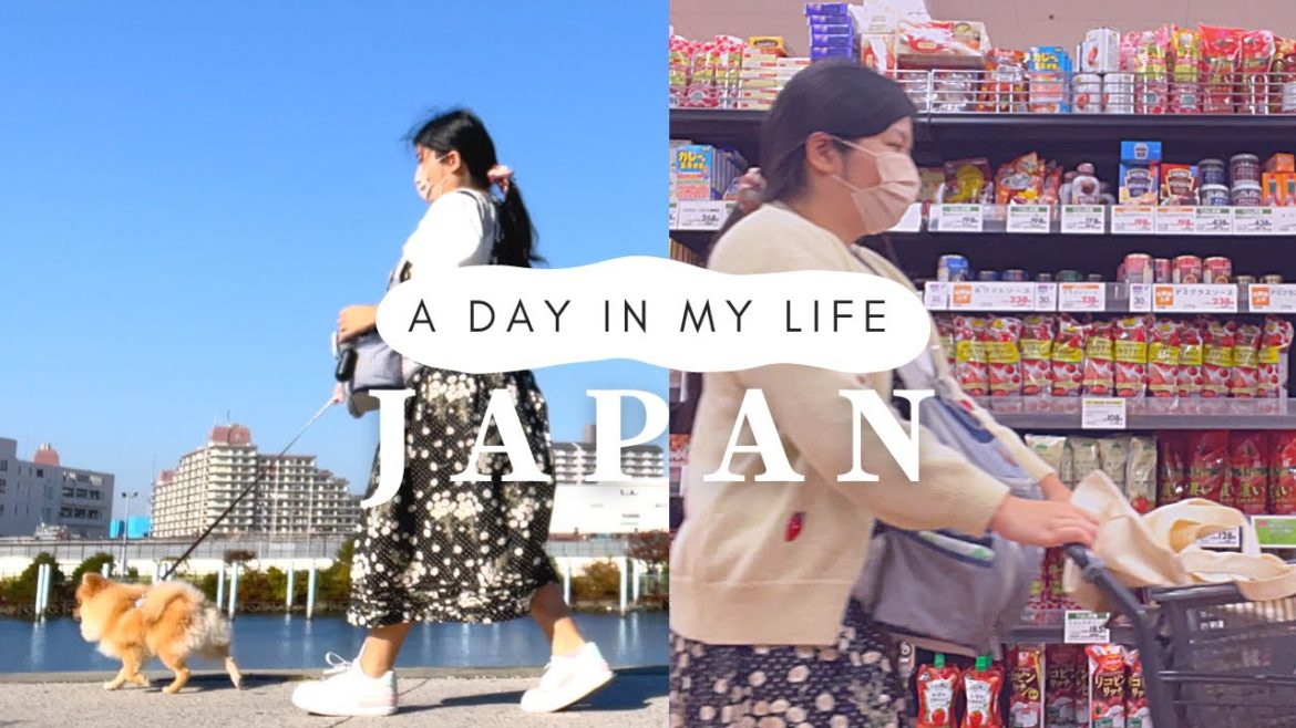 Day in the Life of Dog & Mom in JAPAN