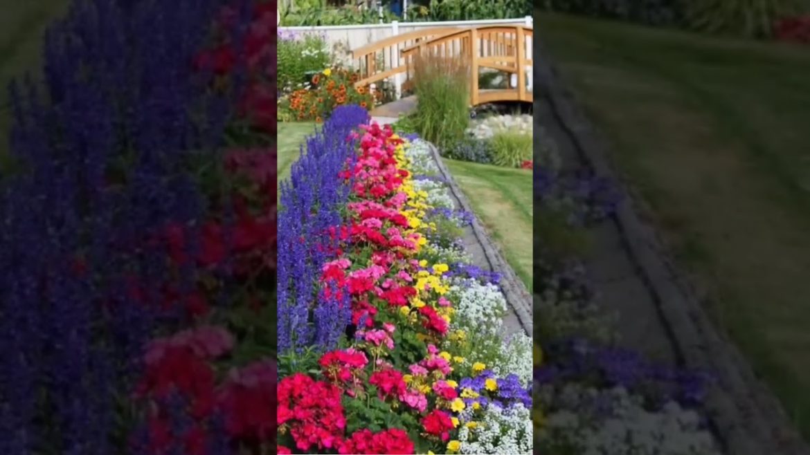 #Shorts#Youtubeshorts /Winter garden ideas #Shorts#Youtubeshorts /Winter garden ideas