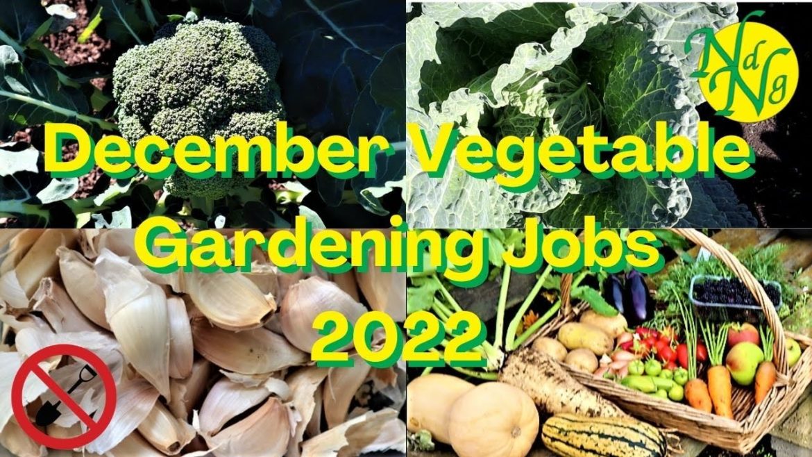December Vegetable Gardening Jobs 2022 December Vegetable Gardening Jobs 2022