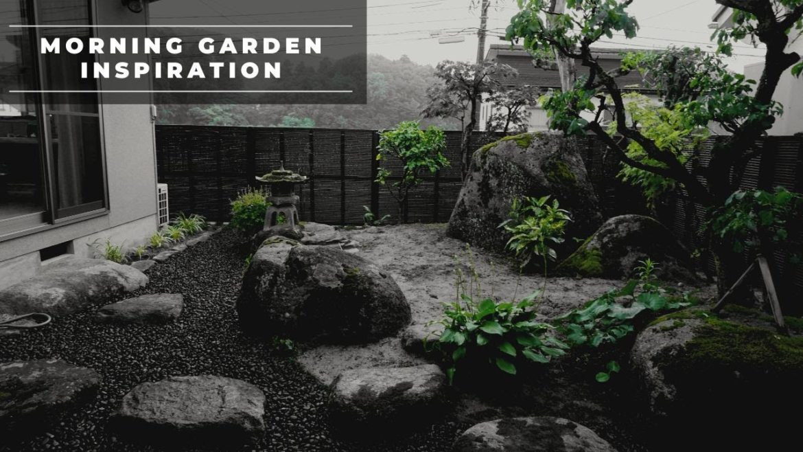 Morning Moments of Inspiration in Our Small Japanese Garden | Sony a7s3 | 福井 Morning Moments of Inspiration in Our Small Japanese Garden | Sony a7s3 | 福井