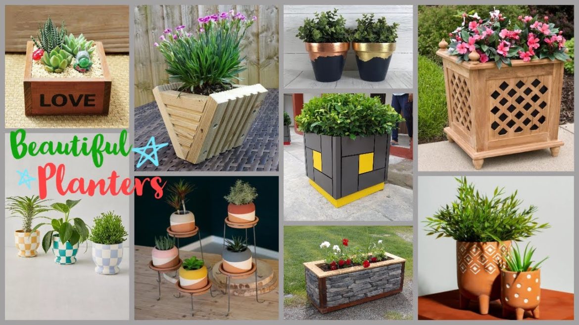 Garden planters | Indoor planter | Wooden planter | Cement planter | Plant pots | Ideas for planter