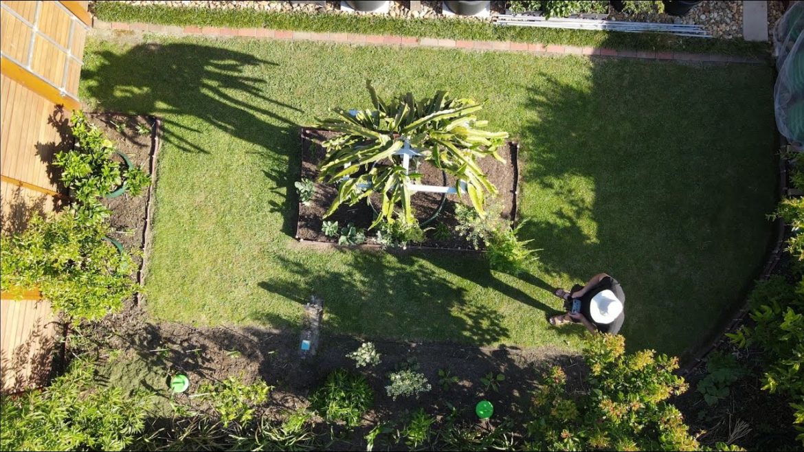 Fruit Garden Tour (Early Summer)