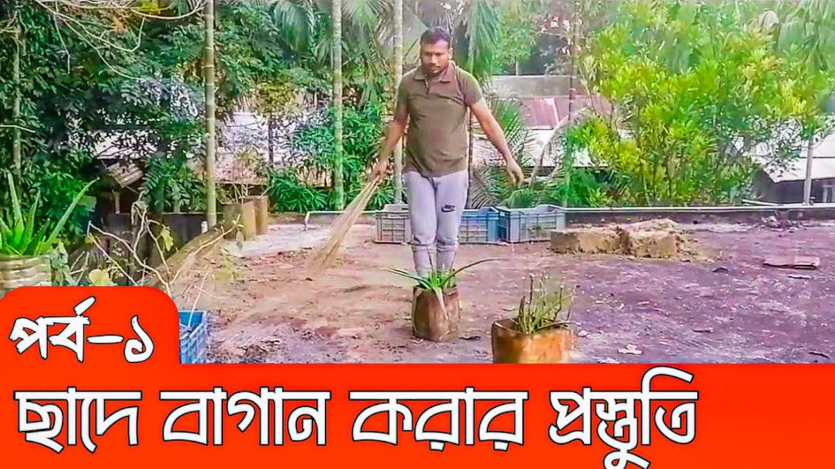 Episode-1 First preparation for rooftop garden | Gardening Tips | Gardening Idea | Sylheti Garden Episode-1 First preparation for rooftop garden | Gardening Tips | Gardening Idea | Sylheti Garden